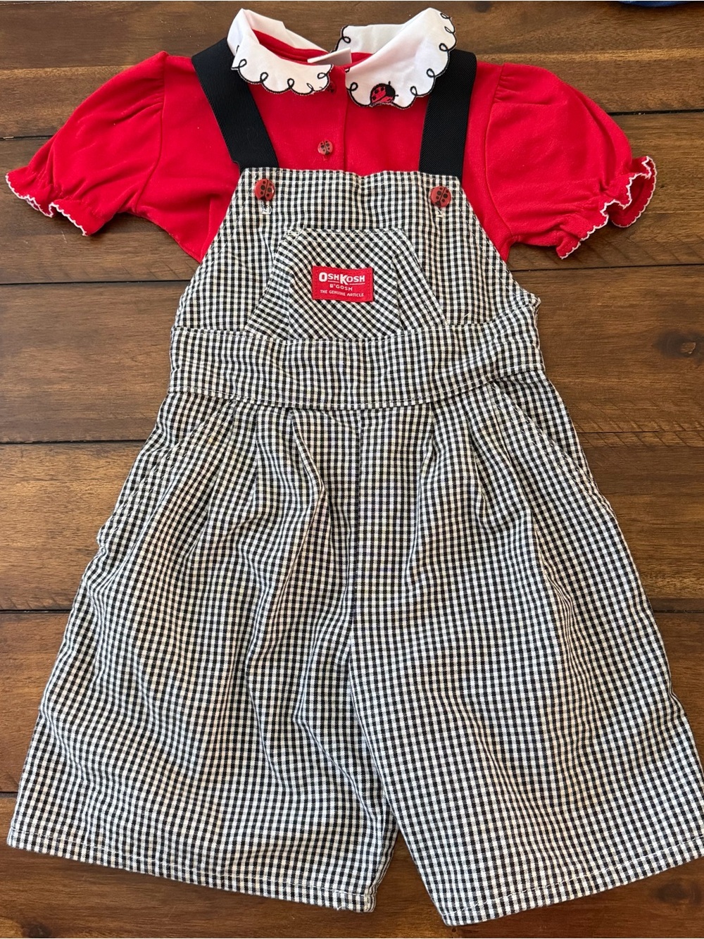 Rare Vintage OshKosh B'gosh Red Top with Ladybug Black & White Gingham Overalls